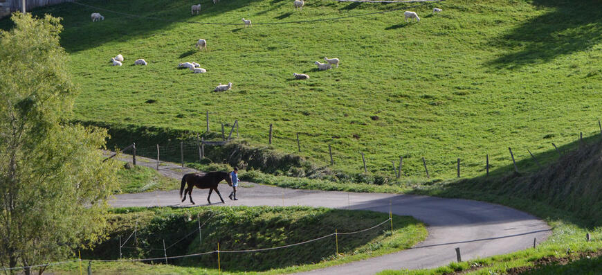 un environnement rural un environnement rural