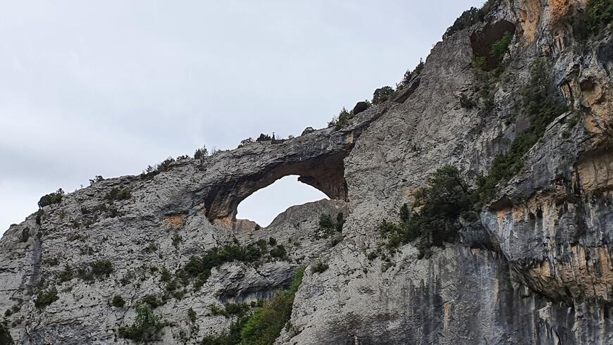 El Dolphin MASCUN El Dolphin MASCUN