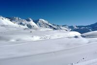 Grand Blanc Grand Blanc