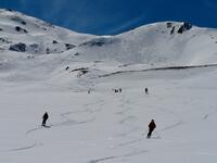 nos traces dans la poudre nos traces dans la poudre
