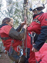 Coupé de corde :/ Coupé de corde :/