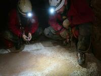 les perles de la salle de la Lune les perles de la salle de la Lune