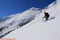 Pas mauvais Pas mauvais